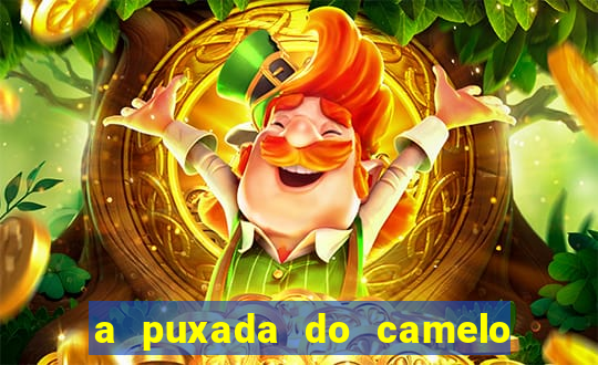 a puxada do camelo no jogo do bicho