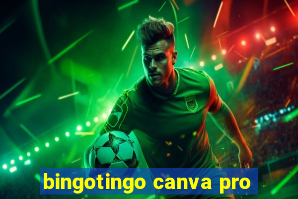 bingotingo canva pro