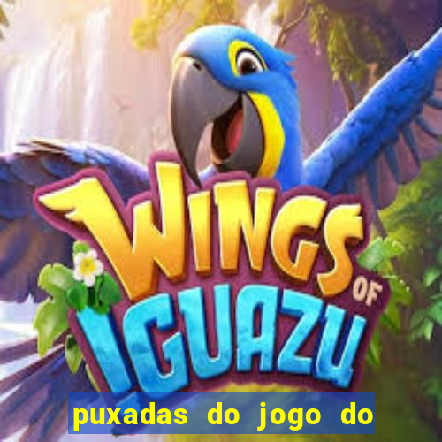 puxadas do jogo do bicho sueli