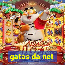 gatas da net