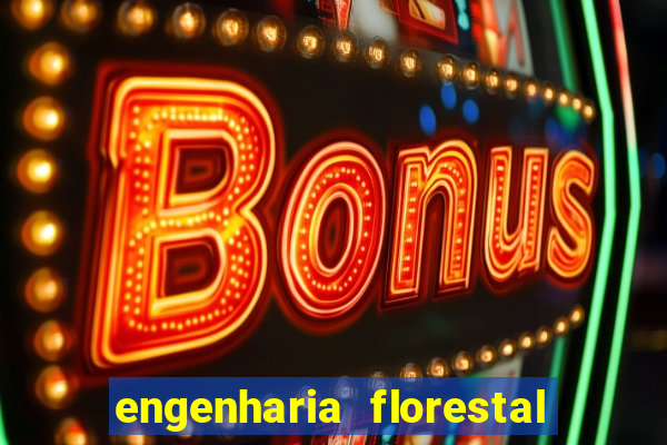 engenharia florestal ead cruzeiro do sul