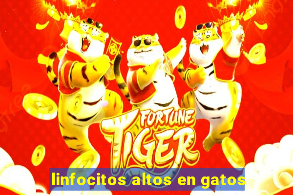 linfocitos altos en gatos