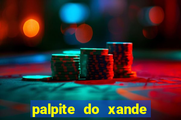 palpite do xande de hoje