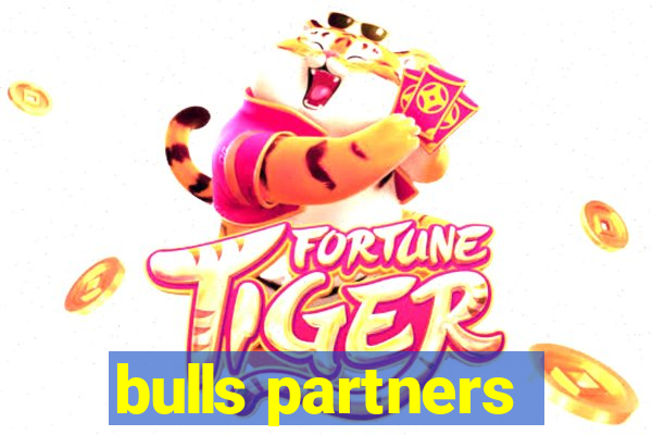 bulls partners