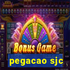 pegacao sjc